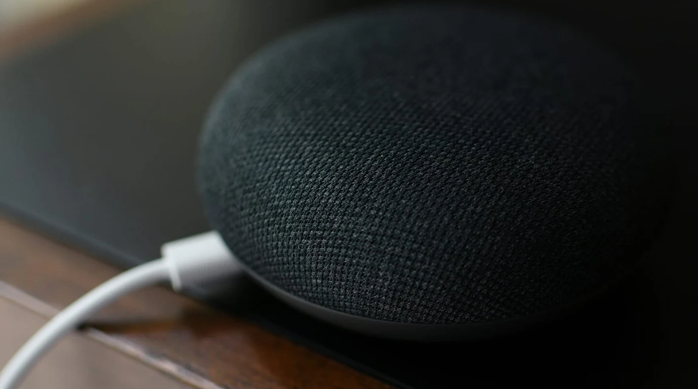 Local Voice Control: Home Assistant Assist vs Alexa